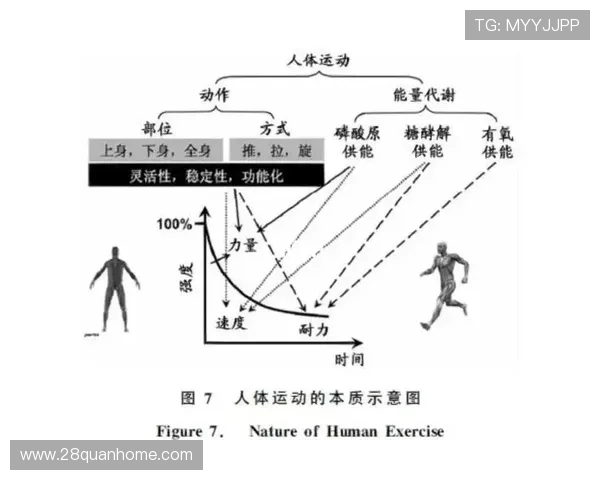 运动表现深度解析与技术革新驱动下的竞技提升研究
